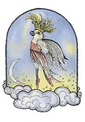 Cockatiel