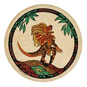 Frilled Lizard and Eucalyptus 