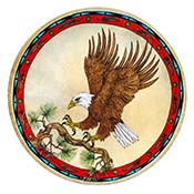 Bald Eagle in the Pine 