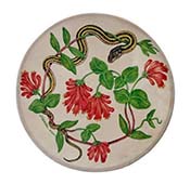 Western Trumpet Honeysuckle and the Ribbon Snake 