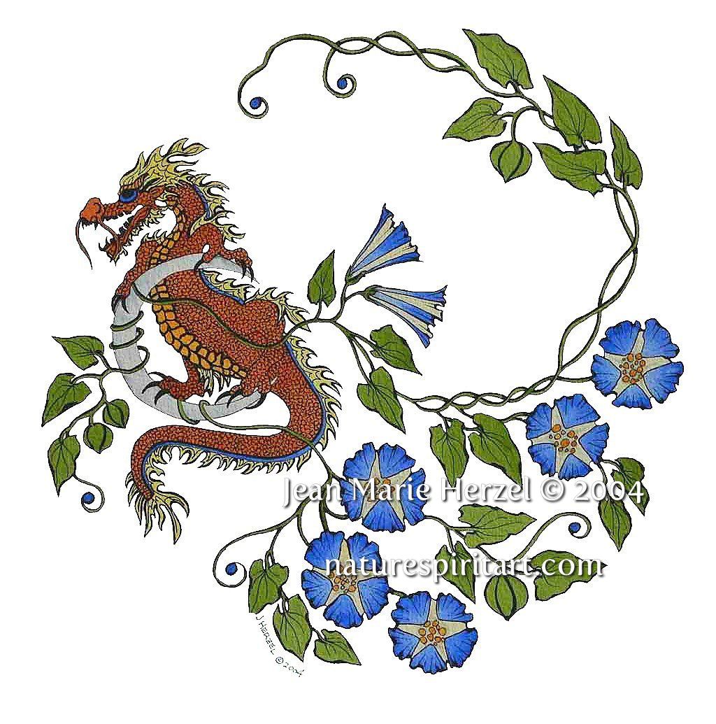 Morning Glory and the Dragon