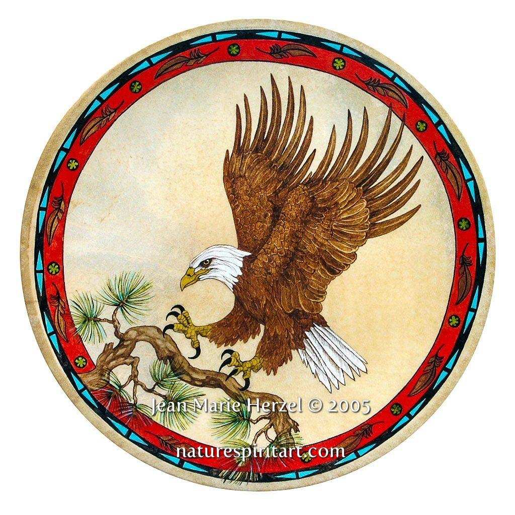 Bald Eagle in the Pine
