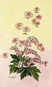 Bleeding Hearts