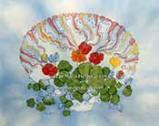 Nasturtium