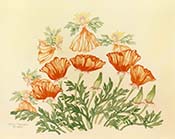 Poppy Fairies