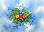 Primroses