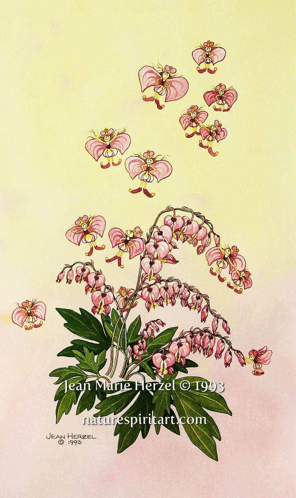 Bleeding Hearts