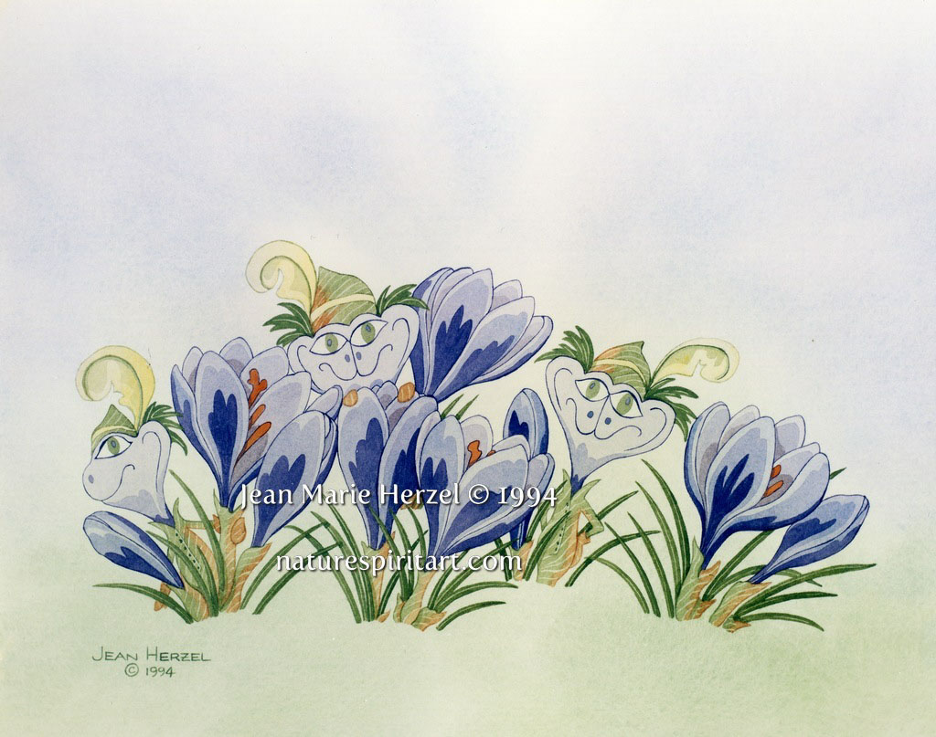 Crocus