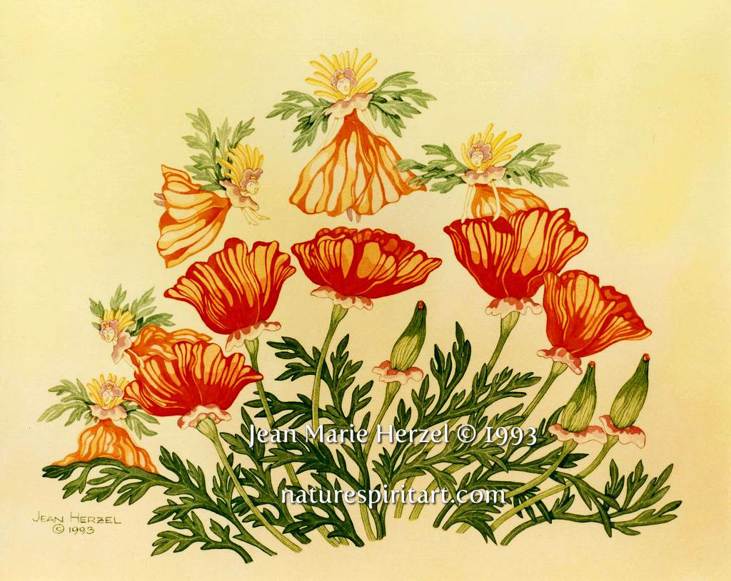 Poppy Fairies