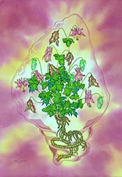 Metamorphosis: Metamorphosis (Columbine)
