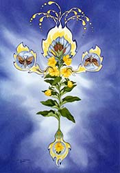 Aureus Stillare: Distilling Gold (Evening Primrose)