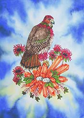 Custos Sanctus: The Sacred Guardian (Beebalm and Perched Hawk)