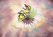 Temporis Domina: Mistress of Time (Lady’s Slipper)