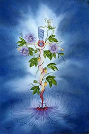Sol Liquefio: Melting Sun (Passion Flower)