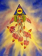 Caelestis: Belonging to Heaven (Shooting Star)