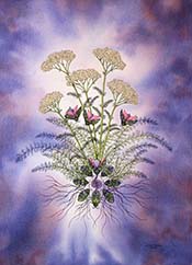 Veteres: The Ancients (Yarrow)