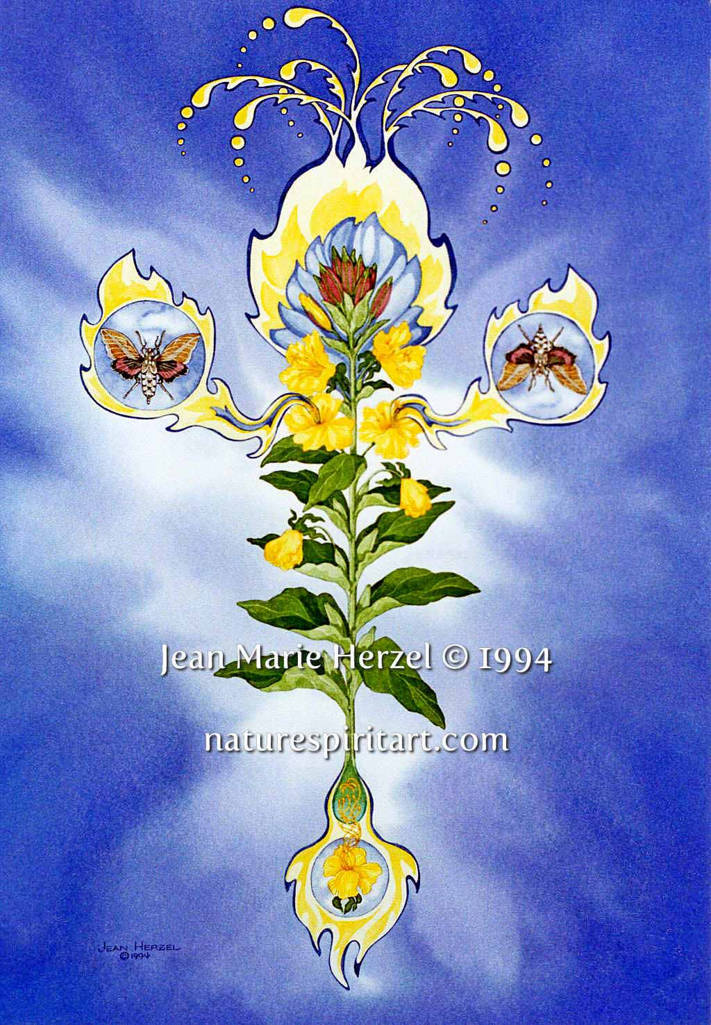 Aureus Stillare: Distilling Gold (Evening Primrose)