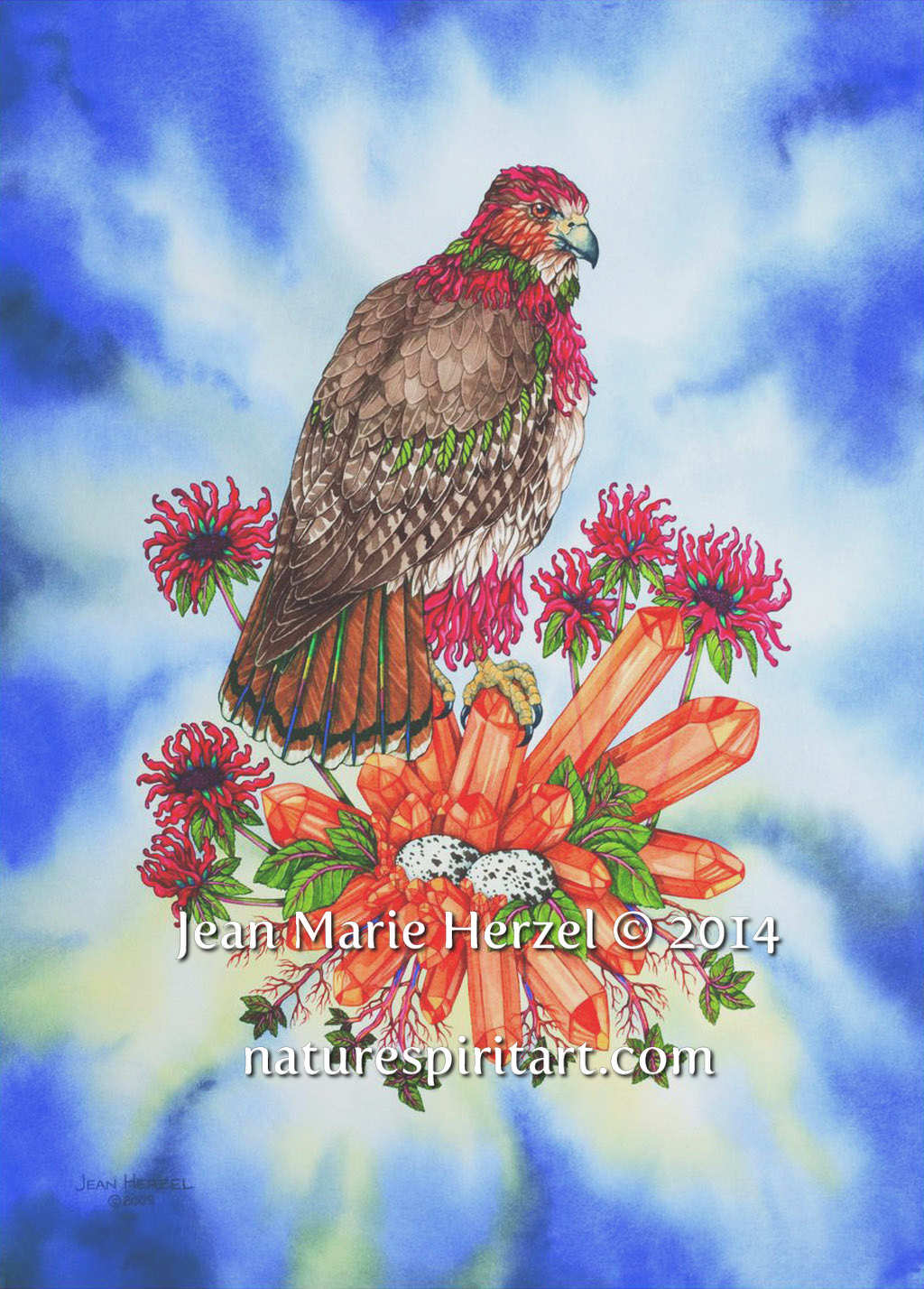 Custos Sanctus: The Sacred Guardian (Beebalm and Perched Hawk)