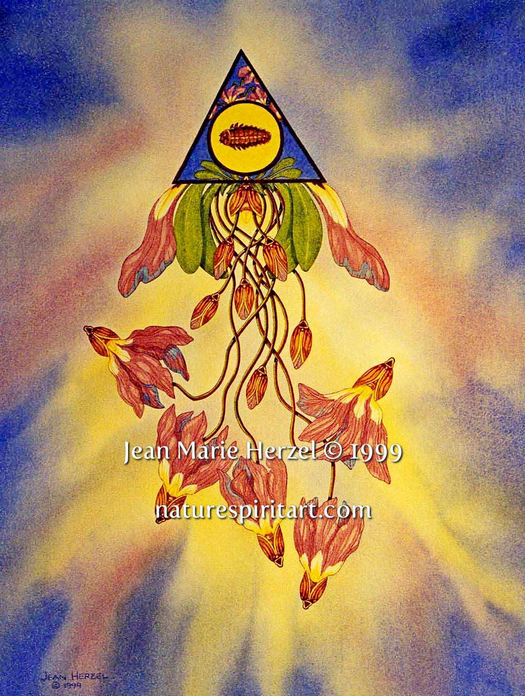 Caelestis: Belonging to Heaven (Shooting Star)