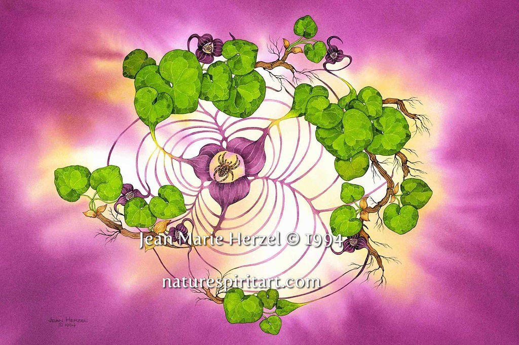 Aether Nere: Spinning Aether (Wild Ginger)