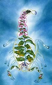 Aculeatus Silentium: Stinging Stillness (Foxglove)