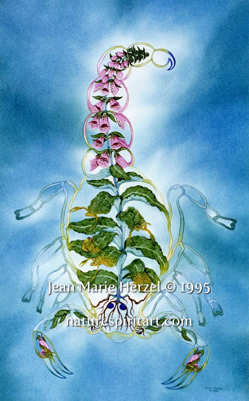 Aculeatus Silentium: Stinging Stillness (Foxglove)