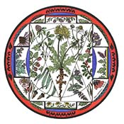Plant Mandala