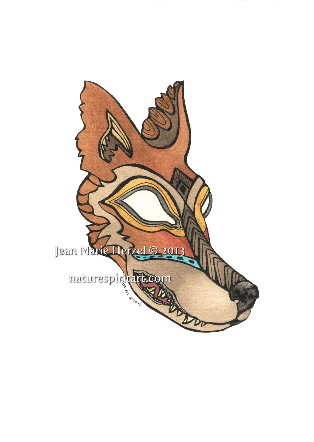Coyote