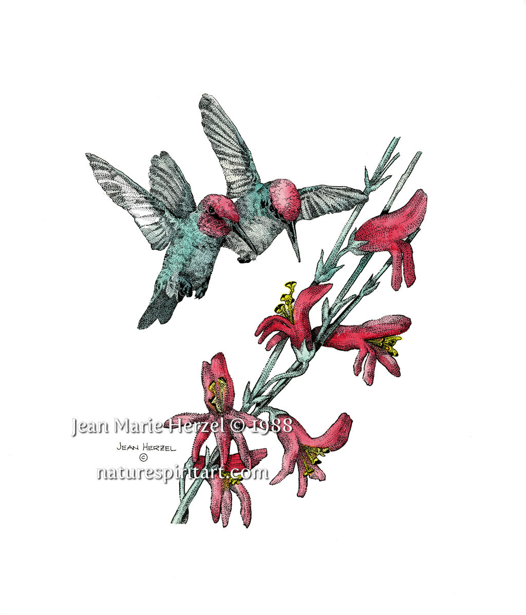 Hummingbird
