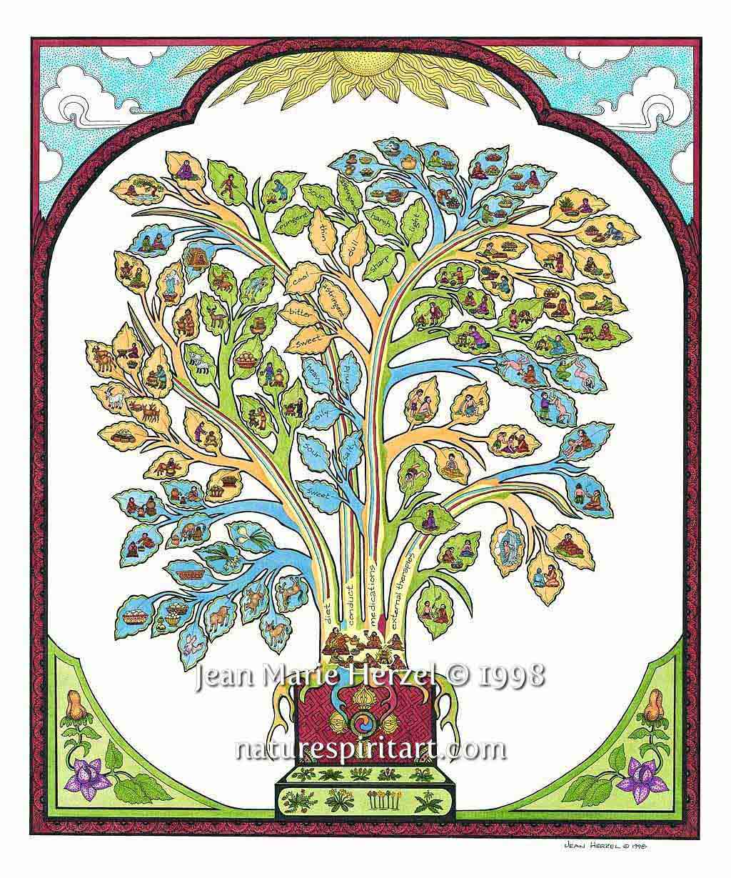 Tibetan Medicine Tree of Treatment