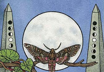 Nature Spirit Tarot