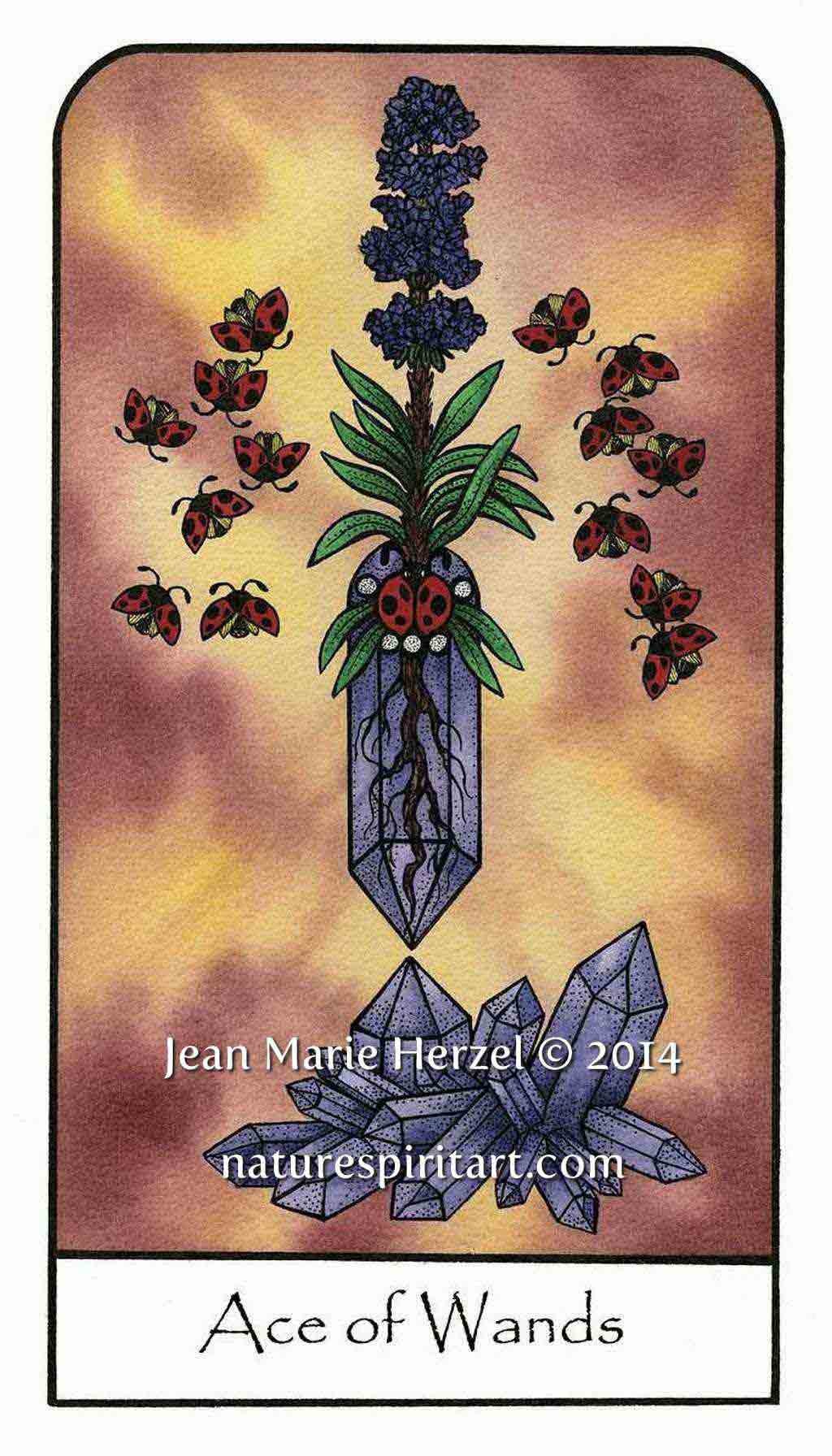 ace_of_wands